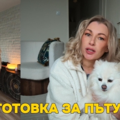 Зад кадър: покупки в последния момент & всичко за пътуването с куче